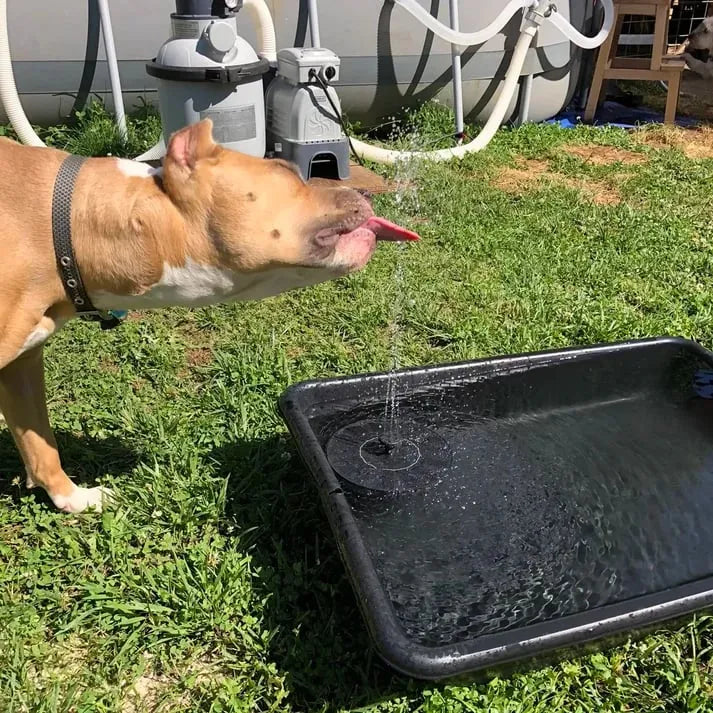 (π2024 New Year Hot Saleπ)Solar Powered Water Fountain