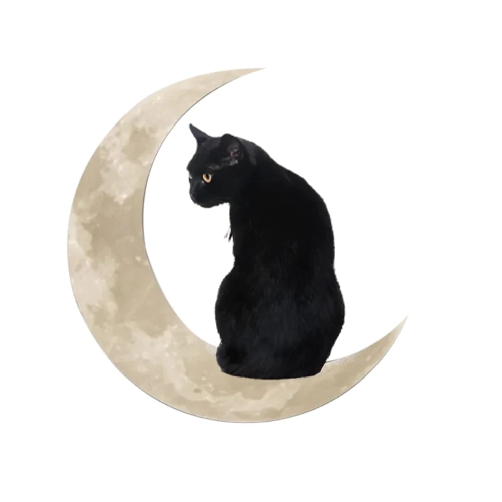 Black Cat Moon Hanging Metal Sign