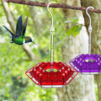 (🔥Last Day Sale-50% OFF)Mary's Hummingbird Feeder With Perch And Built-in Ant Moat