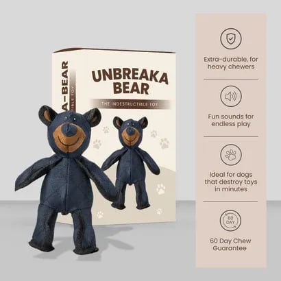 2025 New Bear For Chewers🐾