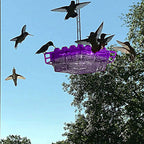 (🔥Last Day Sale-50% OFF)Mary's Hummingbird Feeder With Perch And Built-in Ant Moat