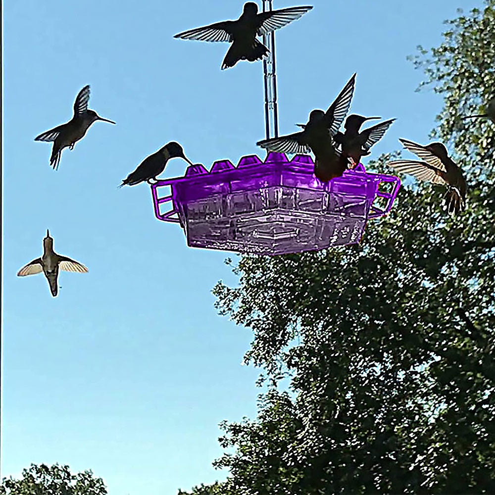 (🔥Last Day Sale-50% OFF)Mary's Hummingbird Feeder With Perch And Built-in Ant Moat