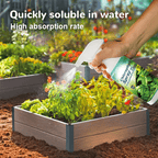 Chlorophyll Spray