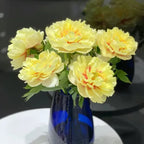 COST PRICE PROMOTION🌺THE QUEEN OF FLOWERS—DOUBLE PETALED PIANI