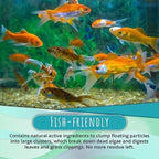 (🎁2024 New Year Hot Sale🎁)🔥-🌺NEW Algae Repellent Agent