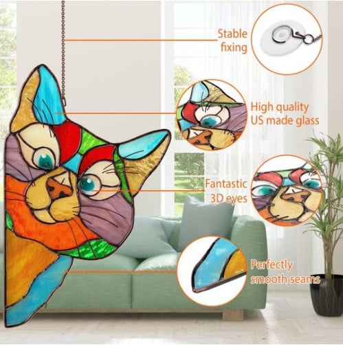 Color cat decoration😸😸