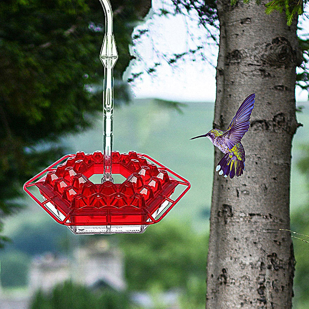 (🔥Last Day Sale-50% OFF)Mary's Hummingbird Feeder With Perch And Built-in Ant Moat