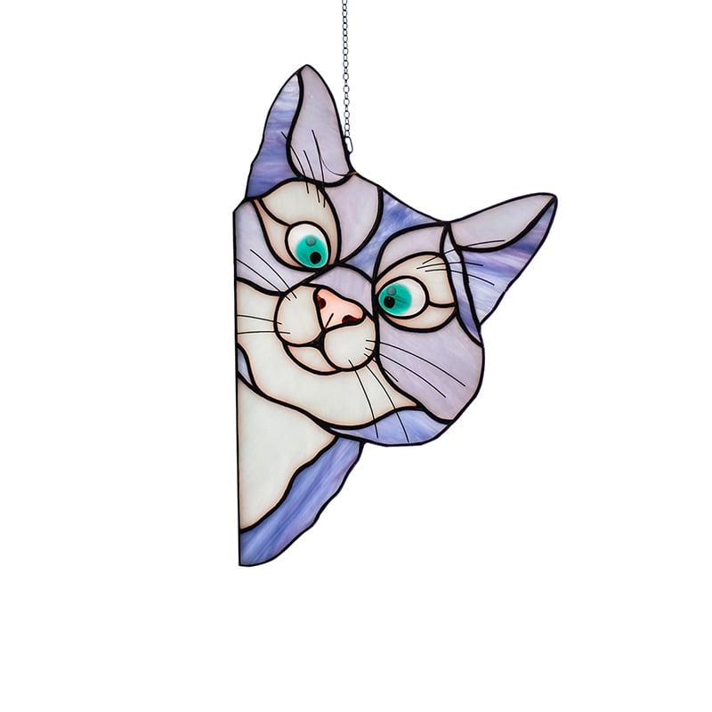 Color cat decoration😸😸
