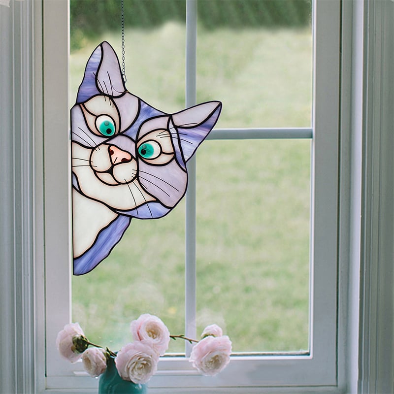 Color cat decoration😸😸
