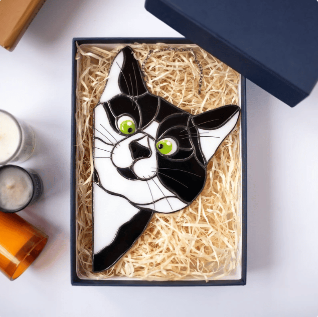 Color cat decoration😸😸