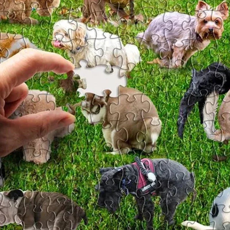 1000 Pieces Puzzle, 101 Dogs Pooping Puzzle