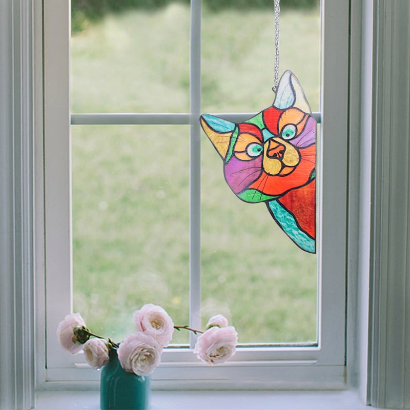 Color cat decoration😸😸