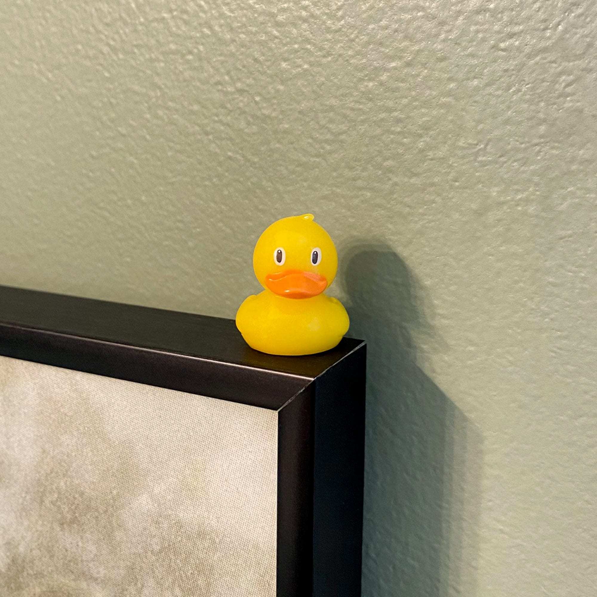Cute Hinge Head