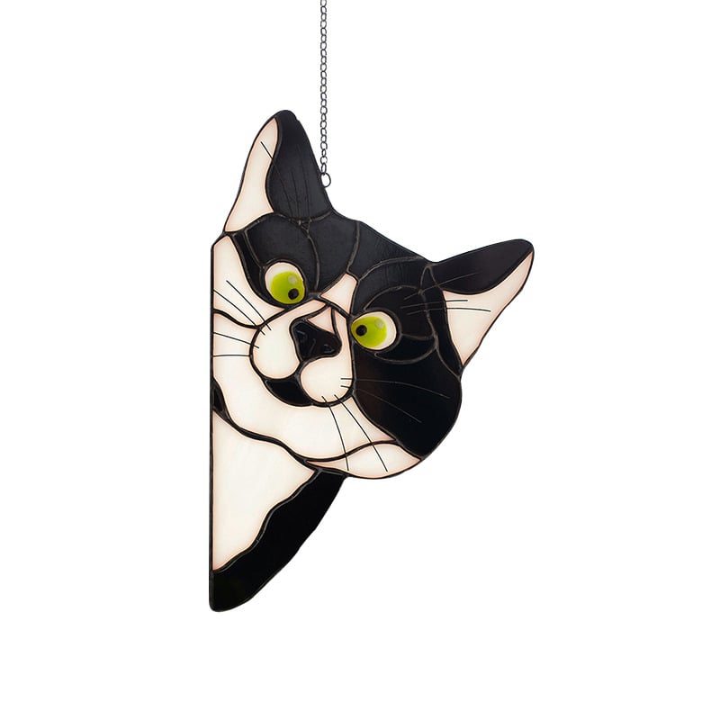 Color cat decoration😸😸