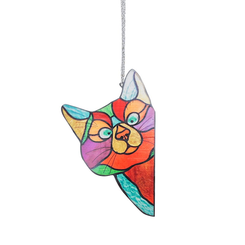 Color cat decoration😸😸