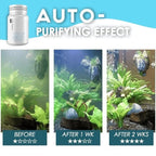 Algae Repellent Agent🔥HOT SALE🔥