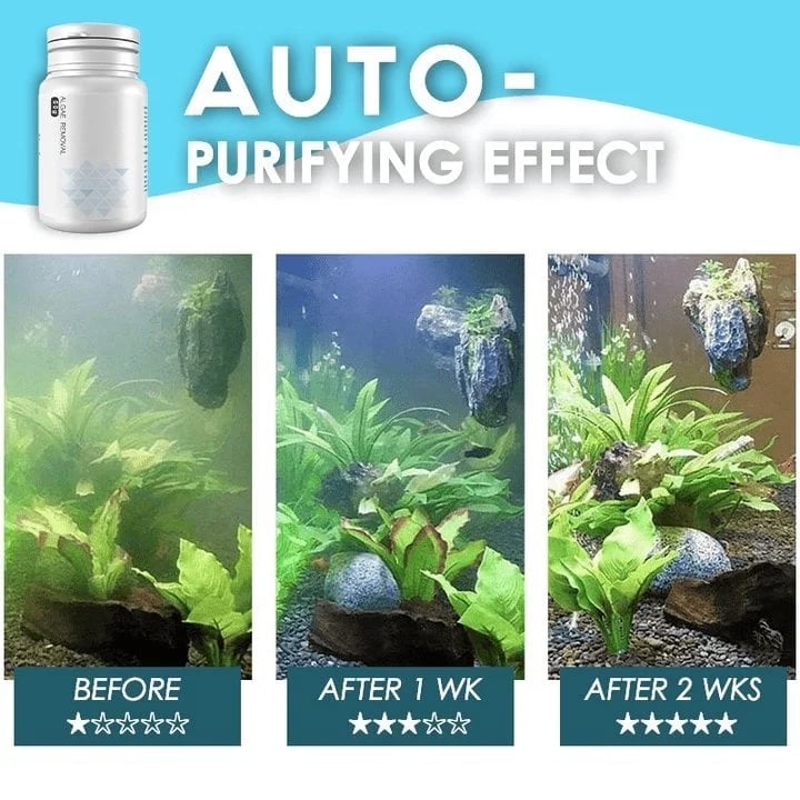 Algae Repellent Agent🔥HOT SALE🔥