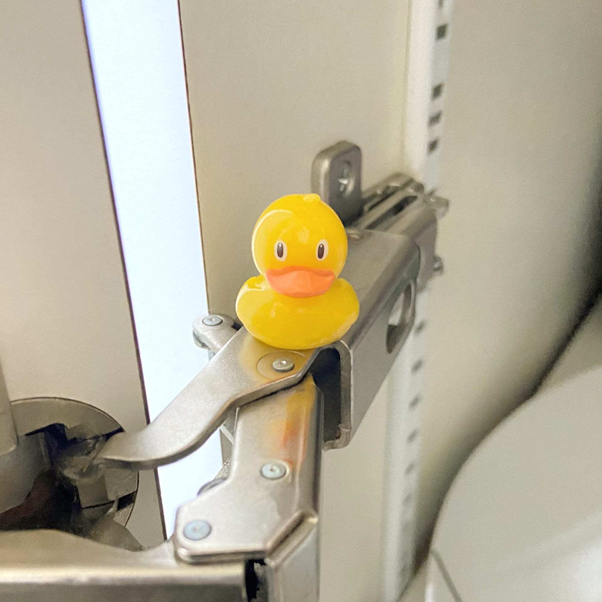 Cute Hinge Head