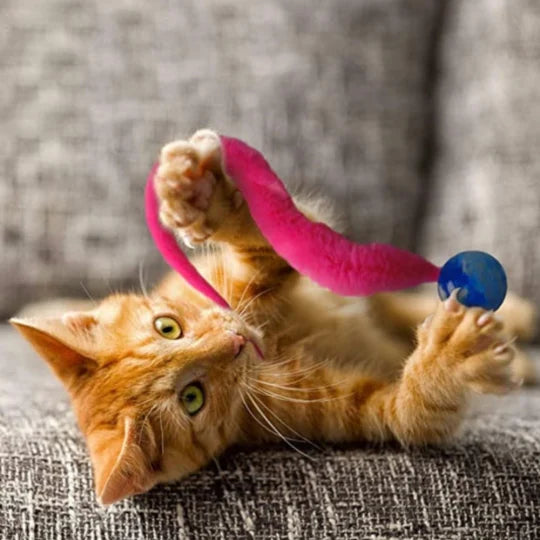 2023 Hot Sale🔥Typared Jiggle Ball for Cat