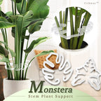 Cithway Invisible Plant Pro Stem Support