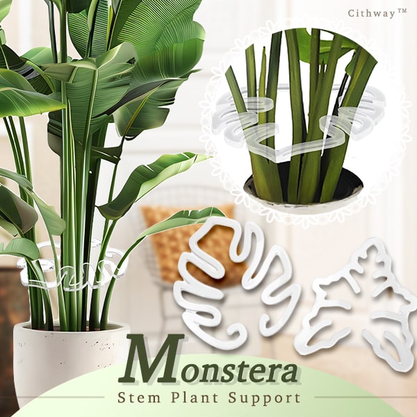 Cithway Invisible Plant Pro Stem Support