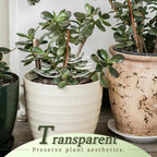 Cithway Invisible Plant Pro Stem Support