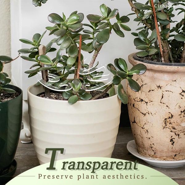 Cithway Invisible Plant Pro Stem Support