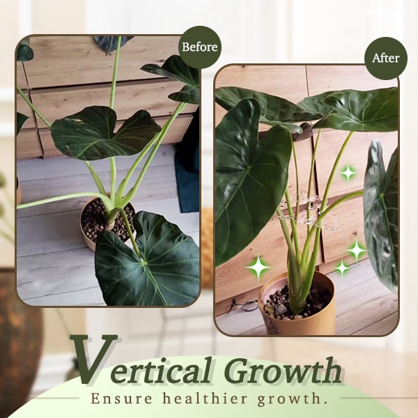 Cithway Invisible Plant Pro Stem Support