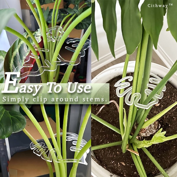 Cithway Invisible Plant Pro Stem Support