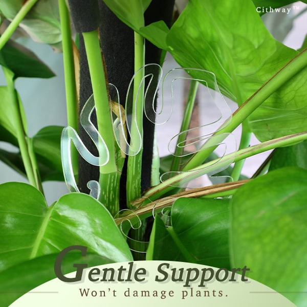 Cithway Invisible Plant Pro Stem Support