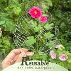 Cithway Invisible Plant Pro Stem Support