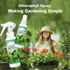 Chlorophyll Spray