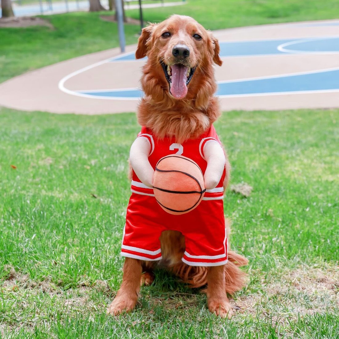 Basketball Dog Clothes