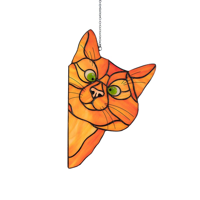 Color cat decoration😸😸