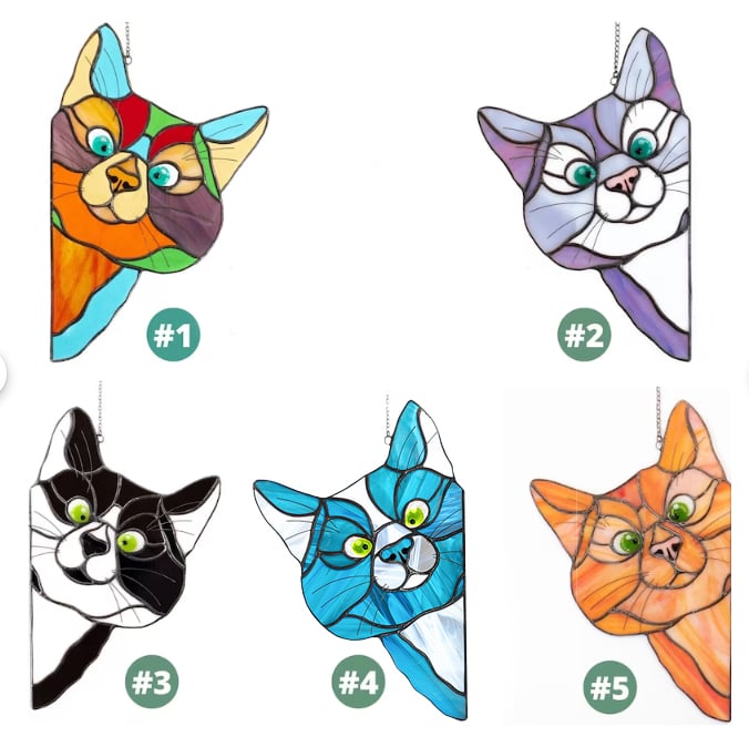 Color cat decoration😸😸