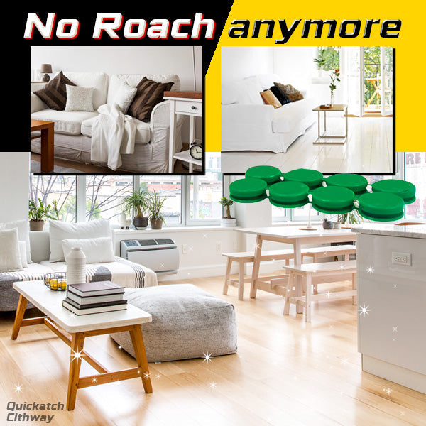 Cithway Quickatch Roach Ace Bait Station