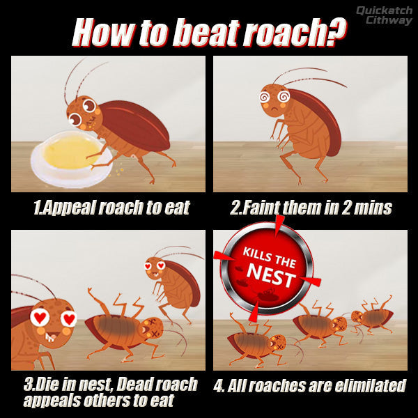 Cithway Quickatch Roach Ace Bait Station