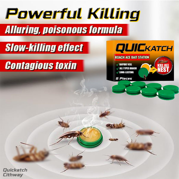 Cithway Quickatch Roach Ace Bait Station