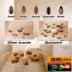 Cithway Quickatch Roach Ace Bait Station