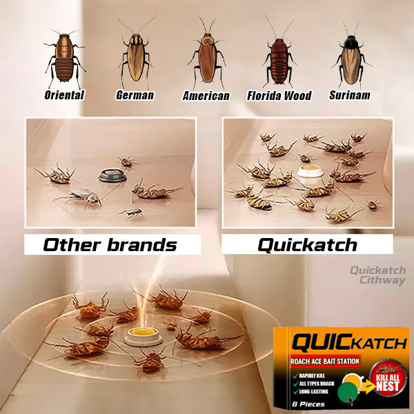 Cithway Quickatch Roach Ace Bait Station