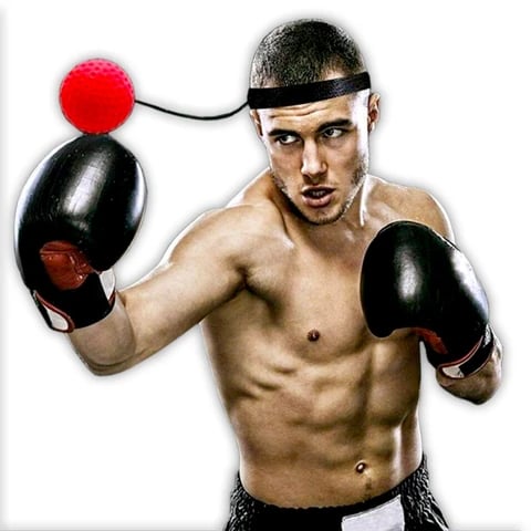 Boxing Fight Ball for Improving Reaction Speed